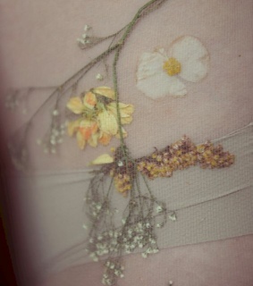 stockings, delicate and pink