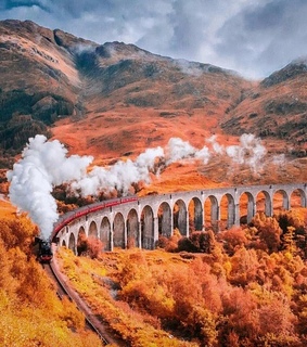 landscape, adventure travel and leaves