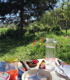 cottage, green and cottagecore