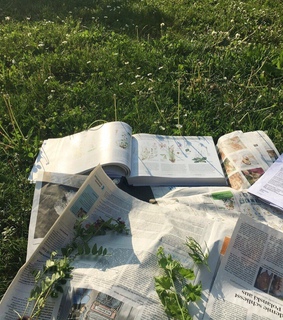 naturecore, green and cabincore