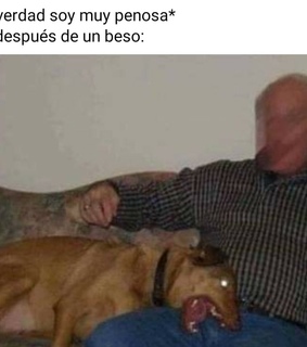 memes and memes en español