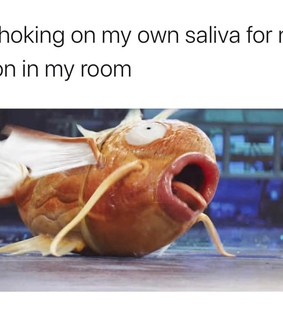 fail, meme and funny