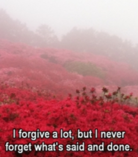 aesthetic, red and flowers