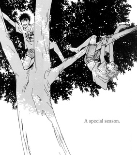 ash lynx, manga and banana fish