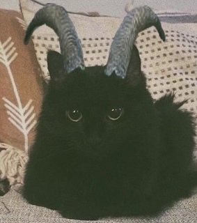 hands, youtube and boy