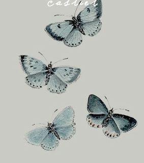 fandom, angel and castiel