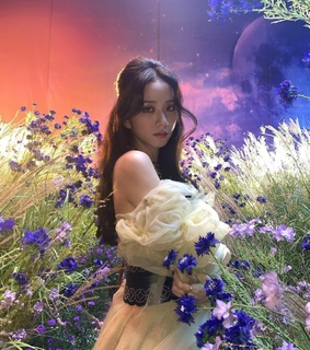 park chaeyoung, flower and purple
