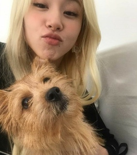 selca selfie, twice and son chaeyoung