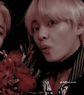 amino, ship and theme