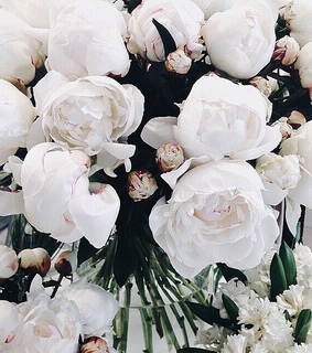 bouquet, white and flowers