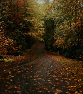 fall aesthetic, autumnal and spooky season