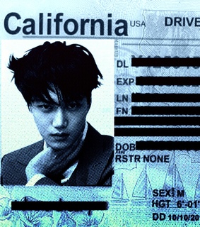 mugshot, cyber and archive