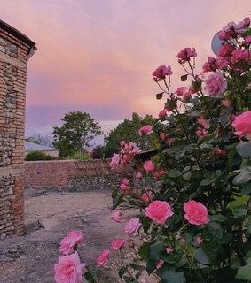 purple, pink aesthetic and sky
