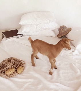 kitchen, home and interior