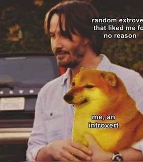 memes, introvert and relatable