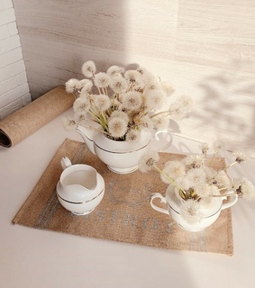 flowers, rose and bouquet