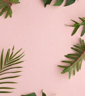 soft, plant and green