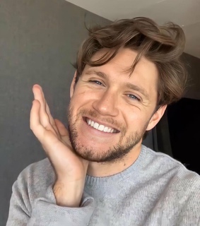 one direction and niall horan