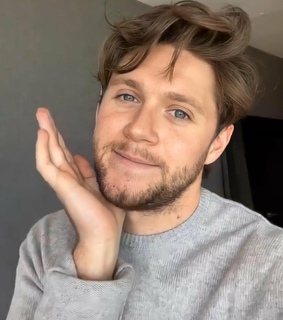 niall horan and one direction