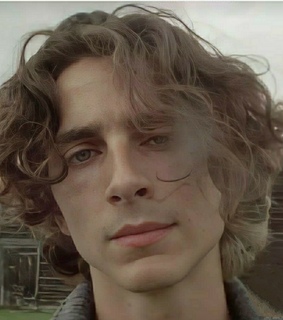 timothee, aesthetic and actor