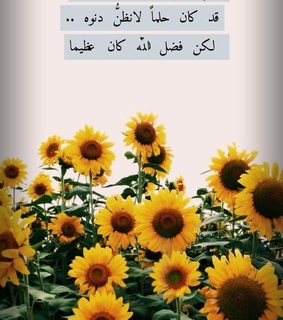 ???? ???????, good morning and ???????