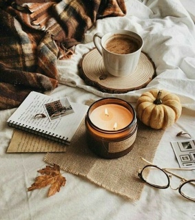 pumpkin, autumn and herbst