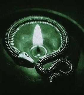 green, snake and candle