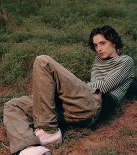 aesthetic, call me by your name and lockscreens