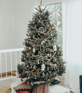 christmas tree, joy and discover