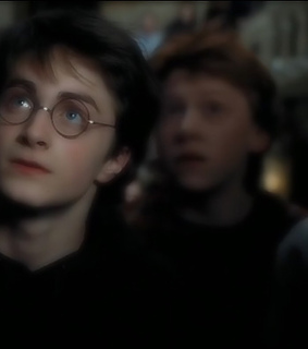 malfoy, ron weasley and harry potter