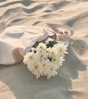 orange, soft and bouquet