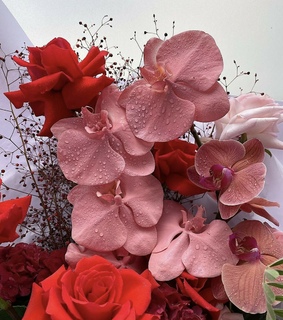 soft, bouquet and flower