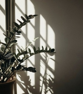 lockscreen and wallpapers