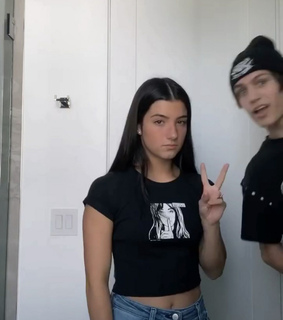 charli damelio, chase hudson and lil huddy