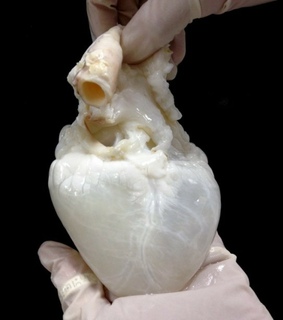 creepy, grunge and odd