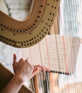 celebrating, soft and art