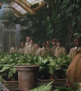 class, chamber of secrets and harry potter