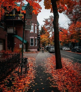 fall, october and street