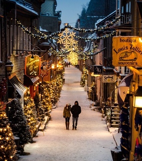 walk, coffee and dream