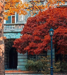 paris, lifestyle and nature