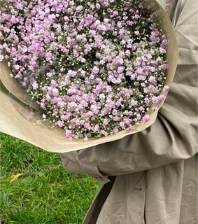 paris, paradise and peace