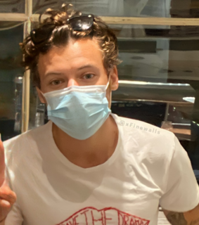 harold, harry styles and 1d