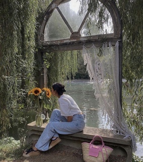 forest, comfy and life style