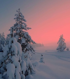 sunset, winter and snow