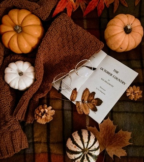 nature, porch and campfire