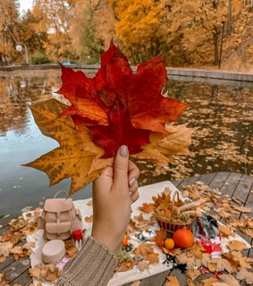 colors, outdoors and nature