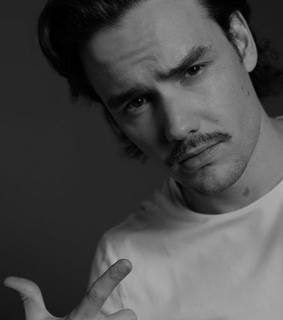 niall horan, liam payne and harry styles