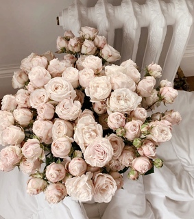 natural, pink flowers and love