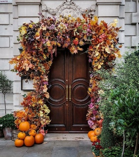 photography, exterior and pumpkin