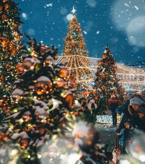 winter love, white and winter weather